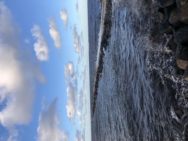 Daugavgrīvas bāka, foto 1188.lv