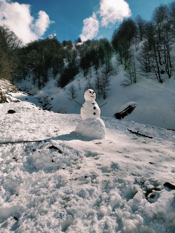 Sniegavīrs, foto - Cristian Tarzi, Unsplash