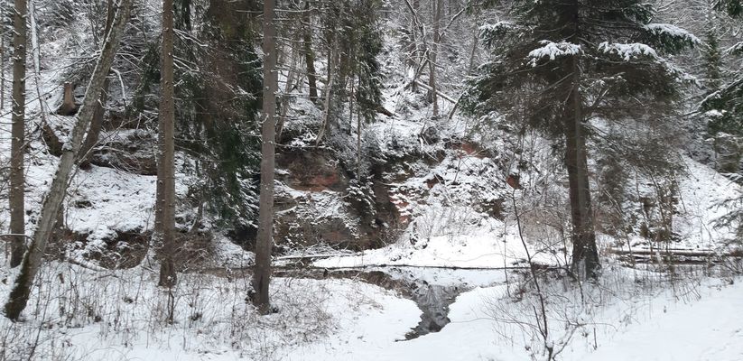 Cīrulīšu dabas takas, ziema, foto:1188