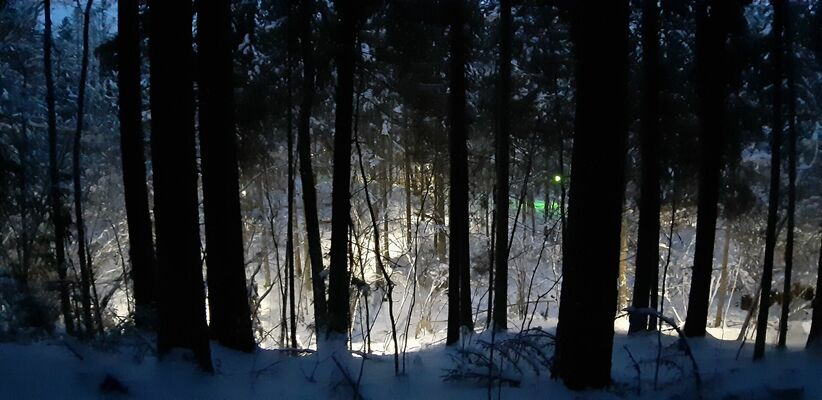 izgaismota Cecīļu dabas taka Ziemā, foto:1188