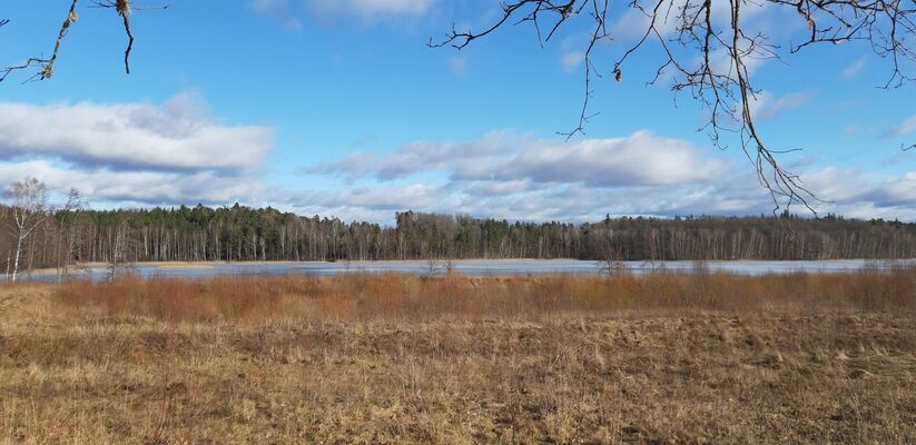Riebiņu ezers Pārgaujas novadā, foto:1188