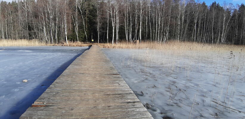 Laipa Riebiņu ezera peldvietā, foto:1188