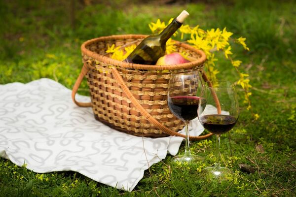 Vīns piknikam, Image by belikt from Pixabay 