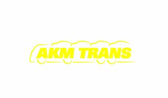 "AKM Trans" SIA, automašīnu transportēšana