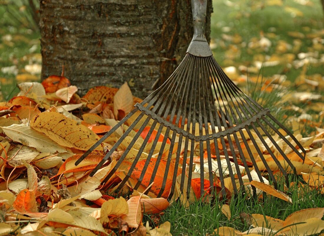 Dārza darbi oktobra beigās, Image by Peggychoucair from Pixabay 