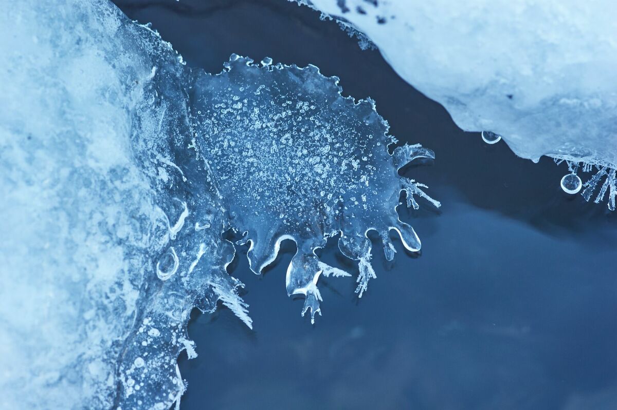 Kūstošs sniegs, šķīdonis, Photo by Wolfgang Hasselmann on Unsplash