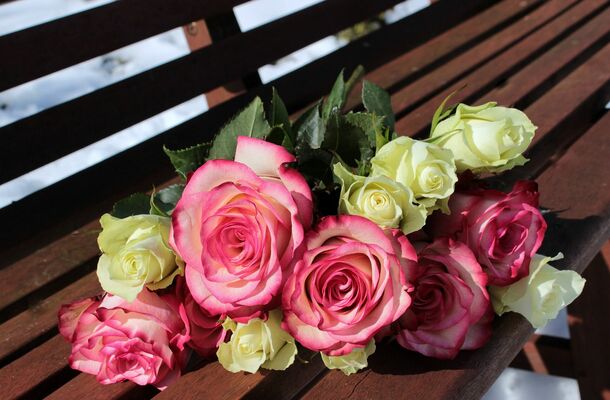Rozes - grieztie ziedi, foto - Myriams_Fotos, Pixabay