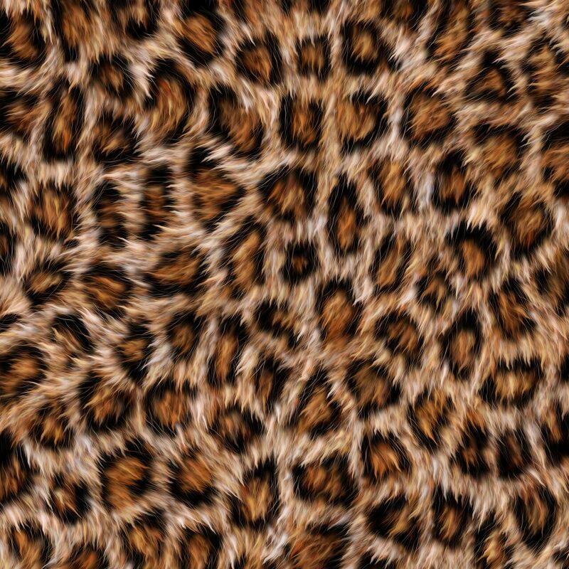 Anna Sedokova: "Esmu leopards", attēls no Pixabay.com