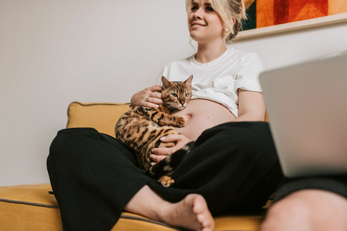 Grūtniece un kaķis, foto: Vlada Karpovich , pexels.com