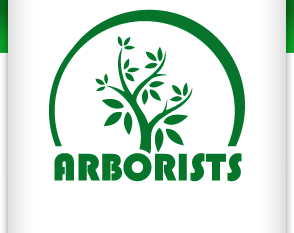 "Arborists" SIA