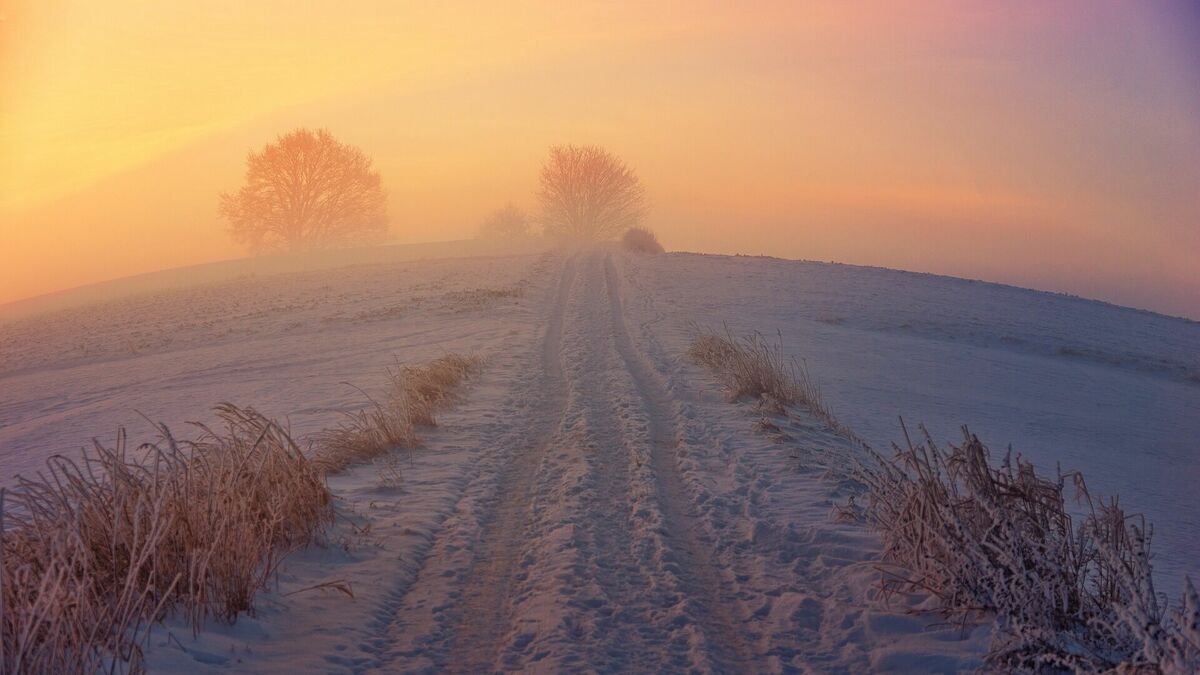 Ziema. Sniegs. Sniegots ceļš. Foto: jplenio/Pixabay.com