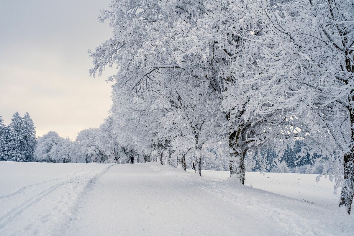 Sniegs. Ziema. Laika ziņa. Foto: NickyPe/Pixabay.com