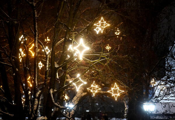 Ziemassvētku gaismas taka, foto: Zane Bitere/LETA