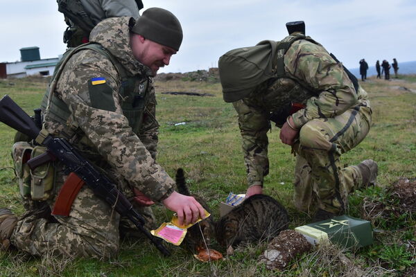 Ukrainas armijas kareivji Čūsku salā. Foto: AP/Scanpix