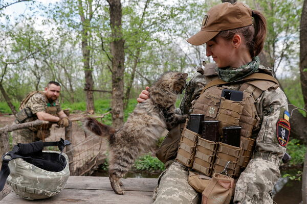 Dzīvnieki kara plosītajā Ukrainā. Foto: Scanpix