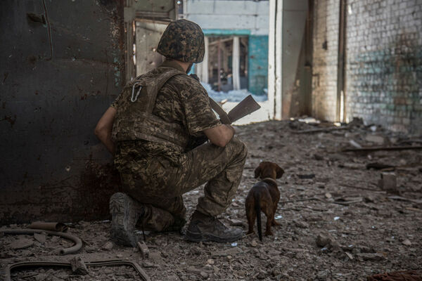 Dzīvnieki kara plosītajā Ukrainā. Foto: Scanpix
