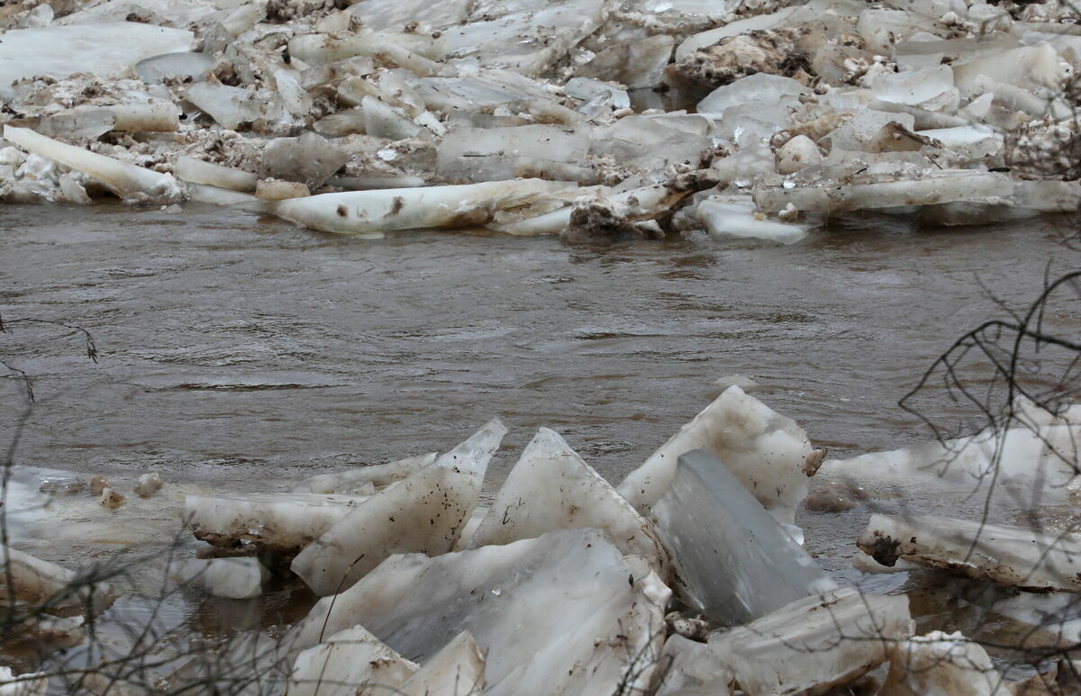 Ledus Gaujā. Foto: Evija Trifanova/LETA