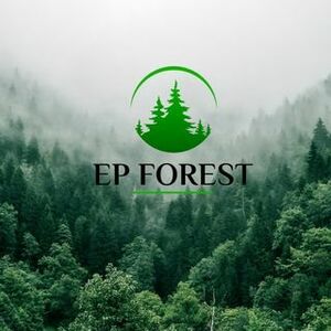 "EP Forest" SIA