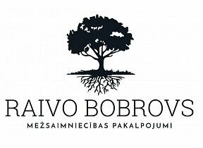 Mežsaimniecības pakalpojumi, Raivo Bobrovs
