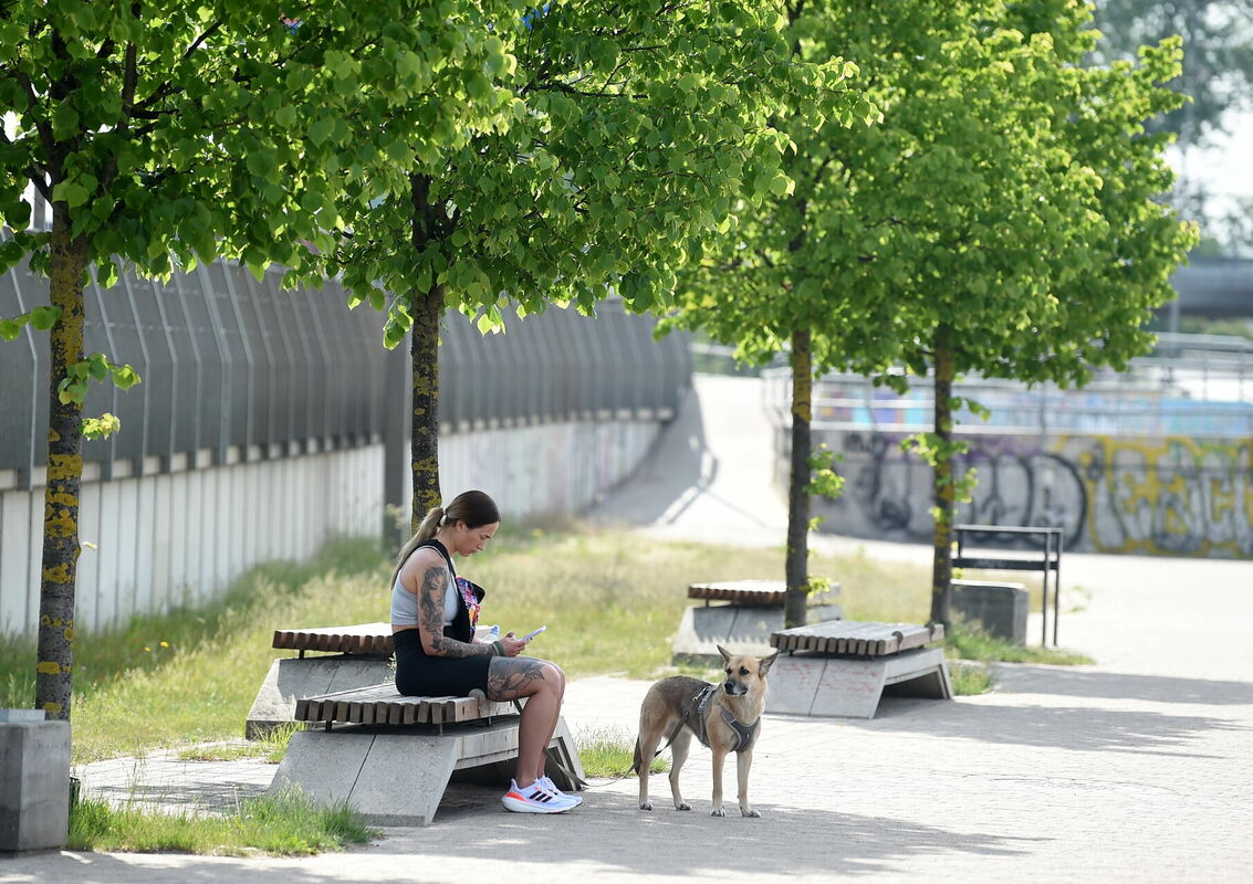 Sieviete ar suni Daugavas promenādē. Foto: Zane Bitere/LETA