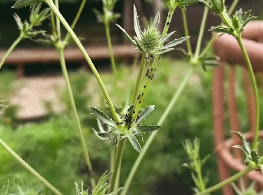 Foto: @liganakts/"Instagram"