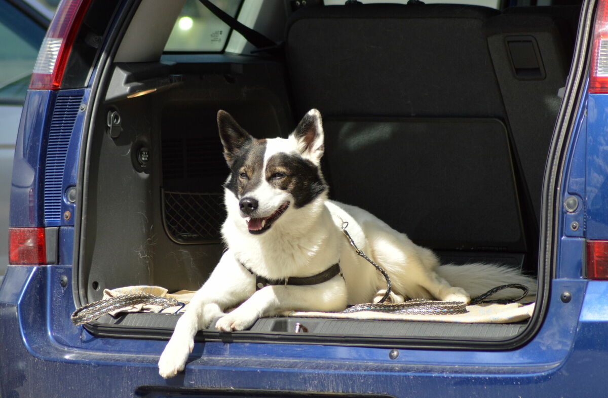 Foto: Zane Bitere/LETA