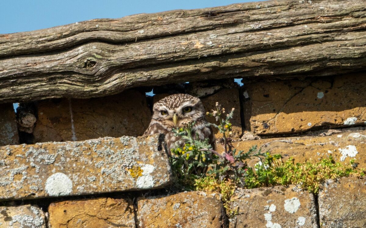 Foto: Stuart Bartlett/"Unsplash"