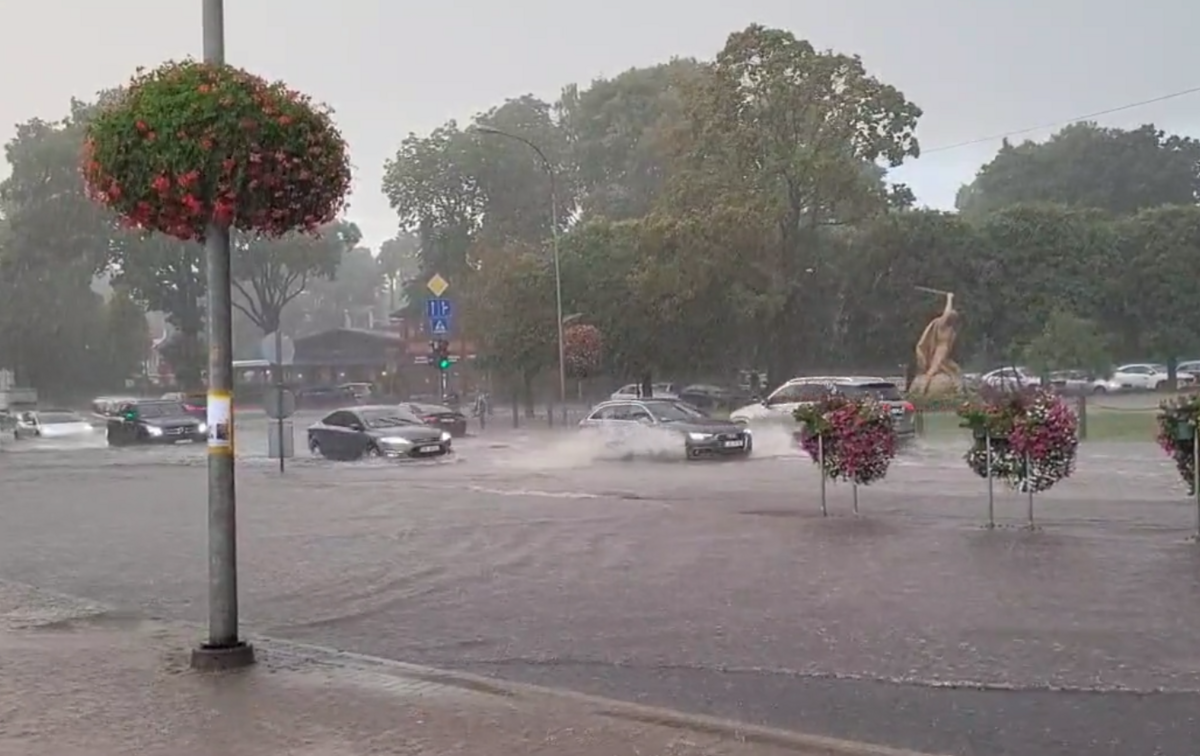 Foto: Ekrānuzņēmums/Guntis Rozenbergs/Twitter