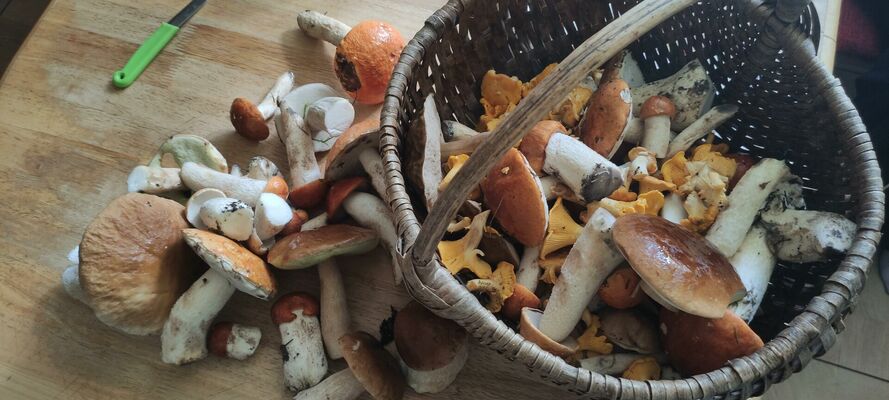 Foto: Līva Treimane/1188.lv redakcija