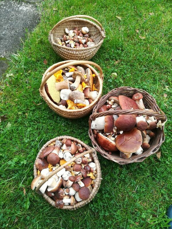 Foto: Līva Treimane/1188.lv redakcija