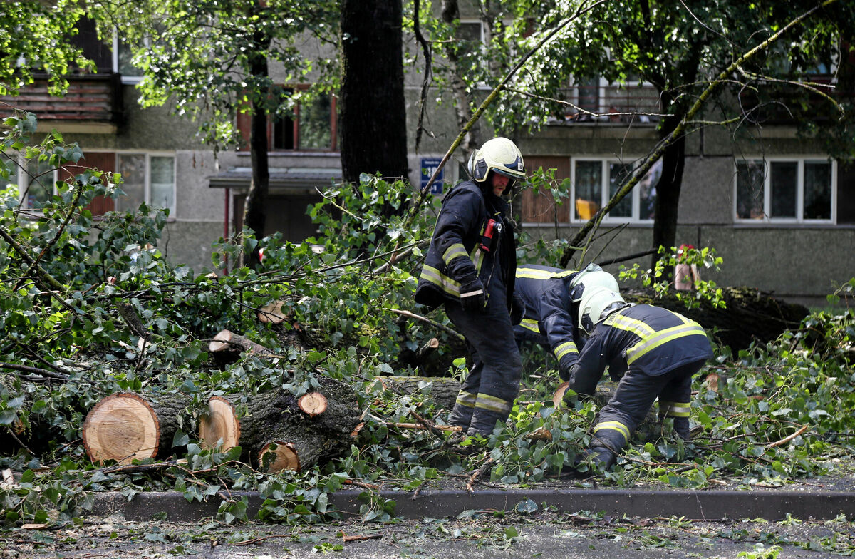 Foto: Edijs Pālens/LETA