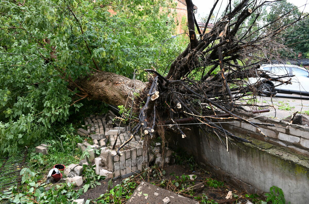 Foto: Ivars Soikāns/LETA