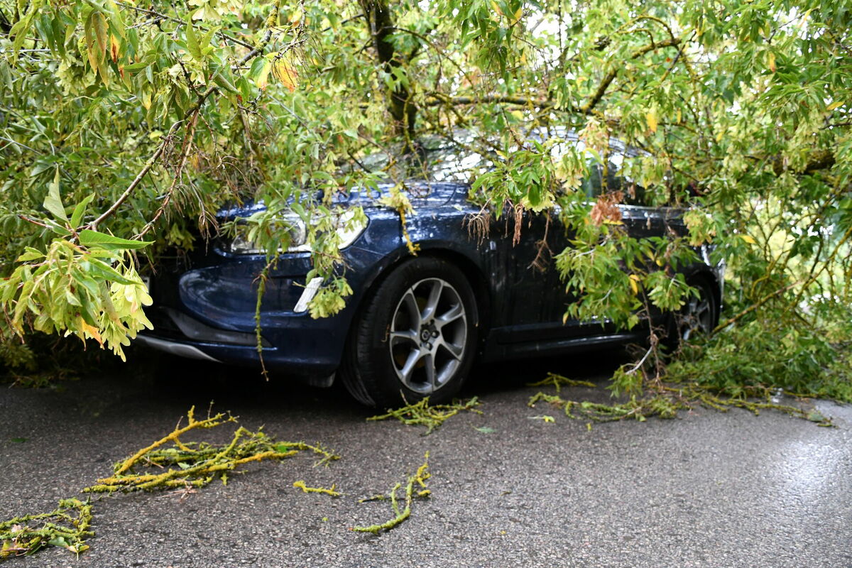 Foto: Ivars Soikāns/LETA