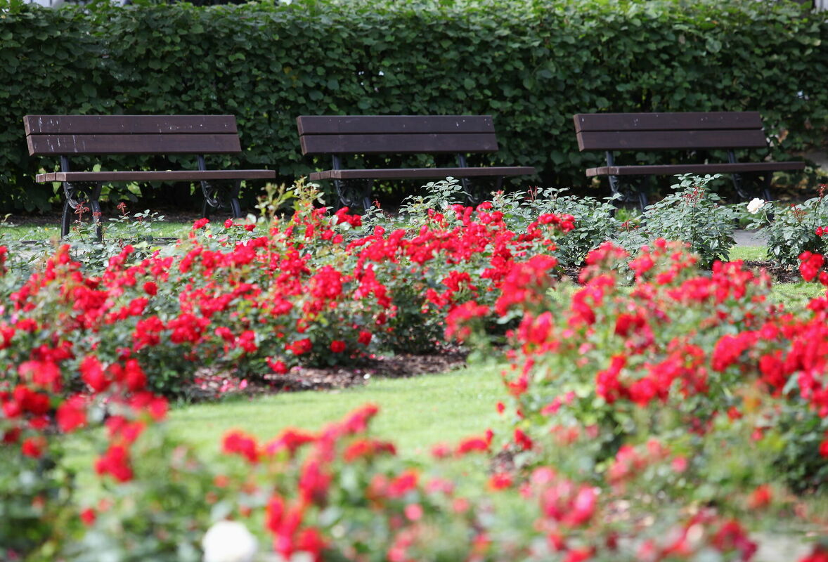 Foto: Paula Čurkste/LETA