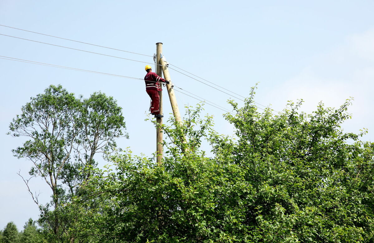 AS "Sadales tīkls" darbinieks. Foto: ieva Leiniša/LETA