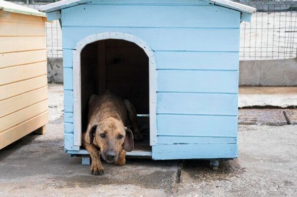 Foto: freepik.com/Freepik 