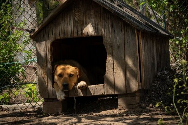 Foto: Pexels.com/Pexels 