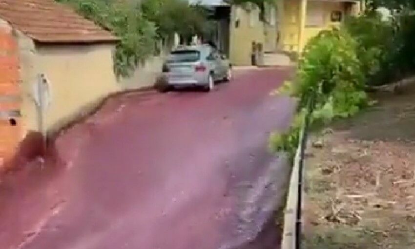 Vīna plūdi Portugālē. Foto: Ekrānšāviņš