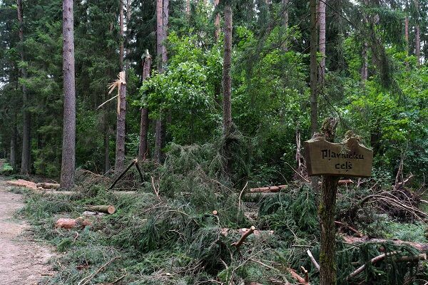 Tērvetes dabas parks. Foto: Latvijas valsts meži