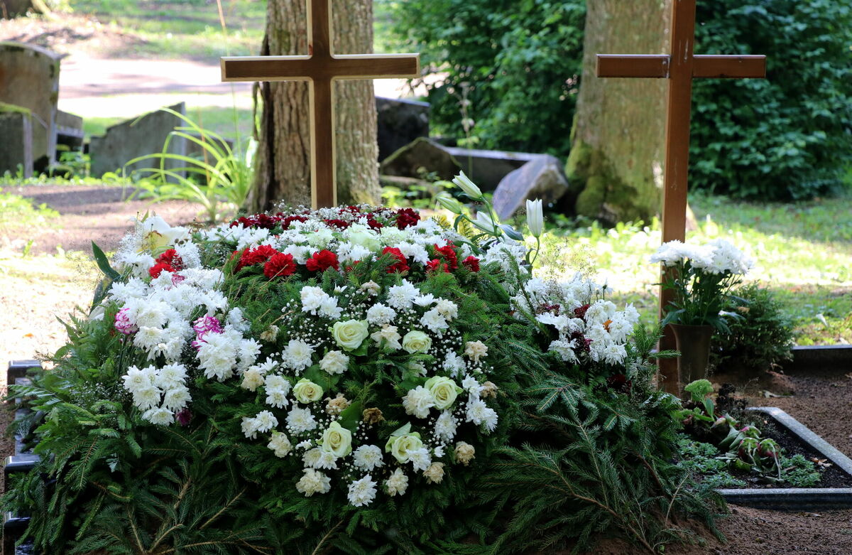 Kaps, attēls ilustratīvs. Foto: Diāna Lozko/LETA