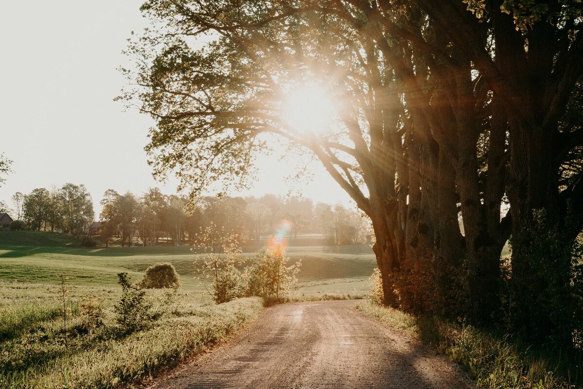 Foto: Kristaps Ungurs/Unsplash