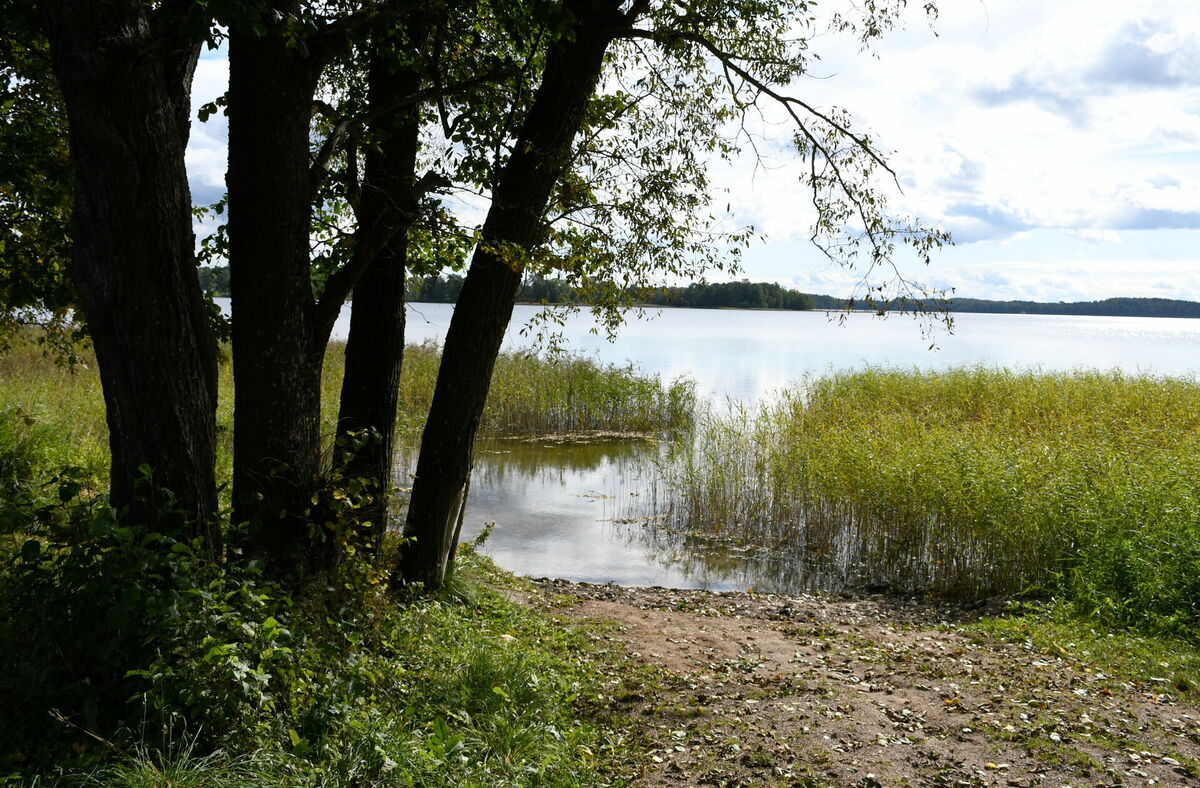 Sventes ezers. Fotot: Ivars Soikāns/LETA