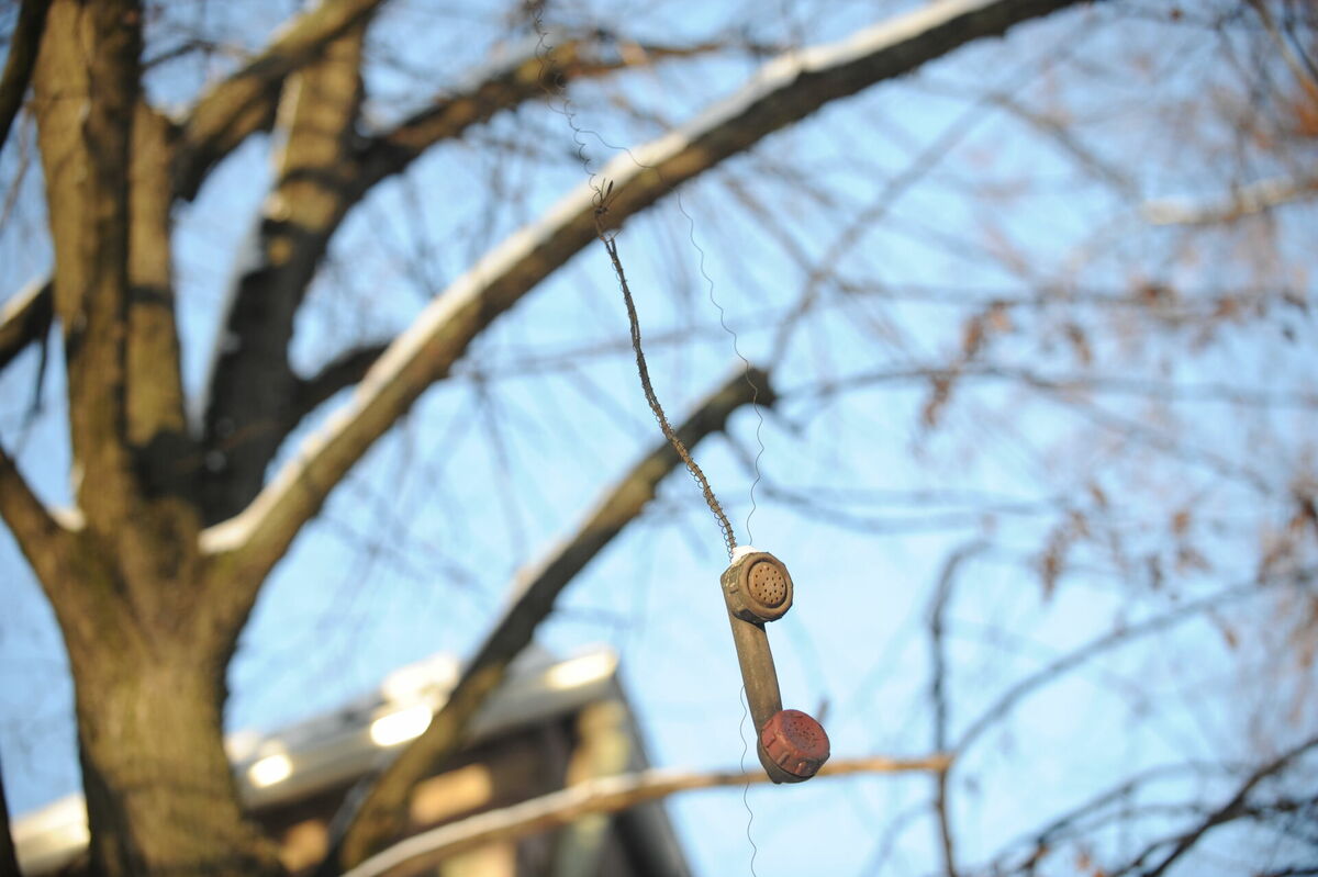 Foto: Lita Krone/LETA