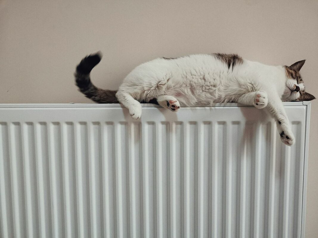 Kaķis uz radiatora. Foto: Unisplash