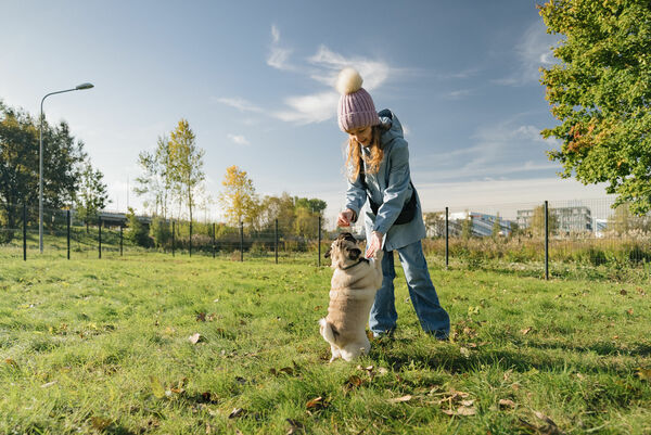 Suņu laukums Lucavsalā. Foto: Rīgas dome