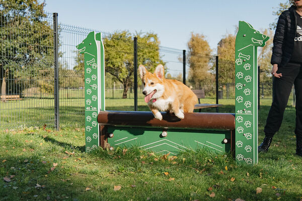 Suņu laukums Lucavsalā. Foto: Rīgas dome
