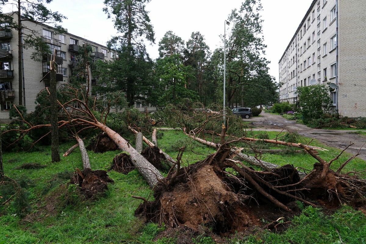 Vētras postījumi Dobeles novada Gardenē. Foto: Evija Trifanova/LETA