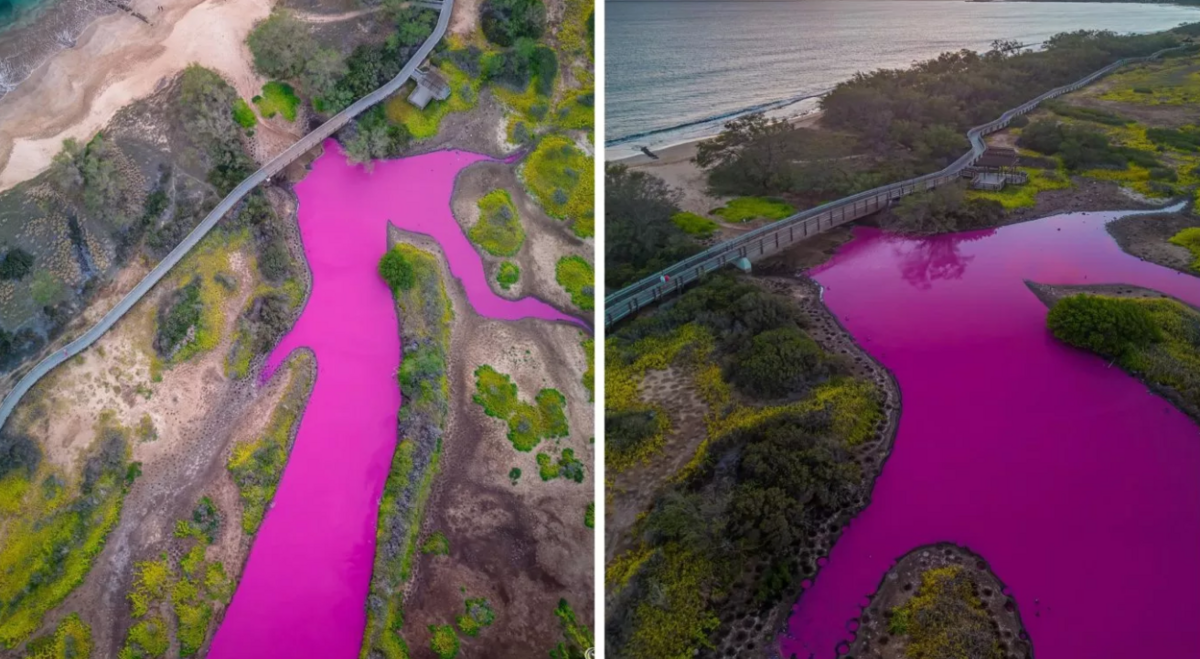 Foto: @TRAVISKEAHI_PHOTOS/INSTAGRAM