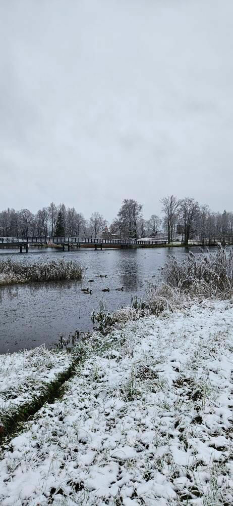 Sniegs Alūksnē 2023. gada 14. novembrī. Foto: Aculiecinieka foto/1188.lv redakcija