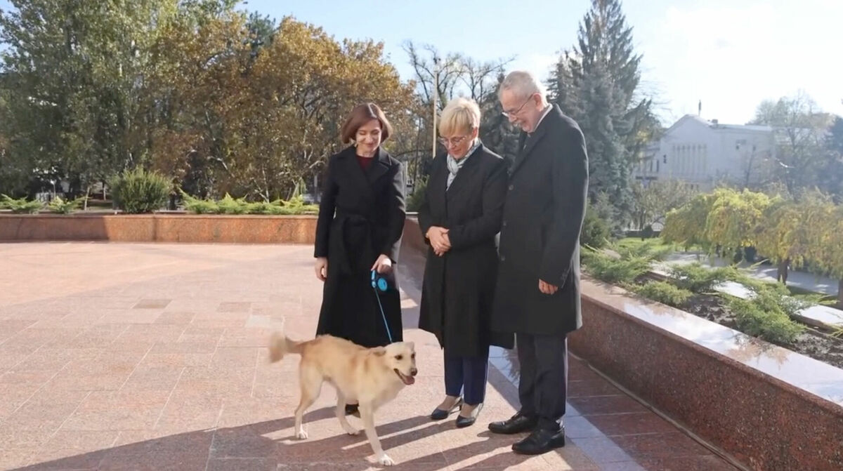 Austrijas prezidentam Aleksandram van der Bellenam piektdien vizītes laikā iekodis Moldovas prezidentes Maijas Sandu suns. Foto: Maia Sandu via Facebook